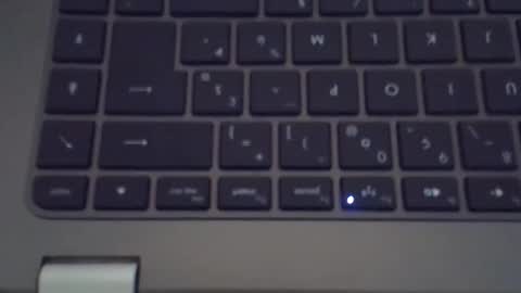 steflab online show from November 14, 2025, 10:36 am