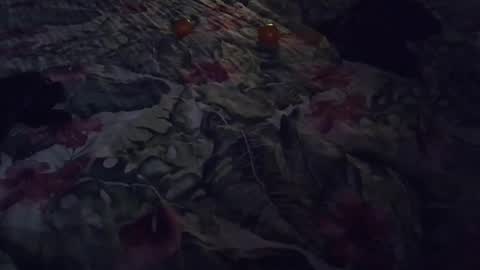 Snapshot of stel7621 chatting on January 7, 2025, 6:56 pm Rocco-load online show from January 7, 2025, 6:56 pm