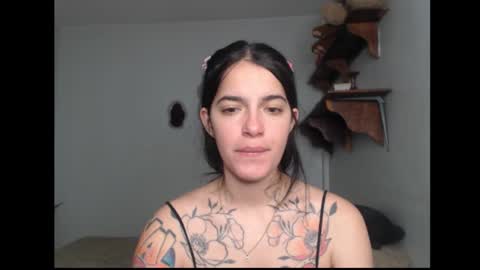 Snapshot of stella_art chatting on February 20, 2026, 6:26 am Stella online show from February 20, 2026, 6:26 am