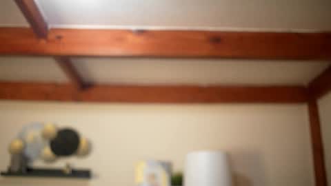 Stella online show from February 22, 2026, 9:08 am