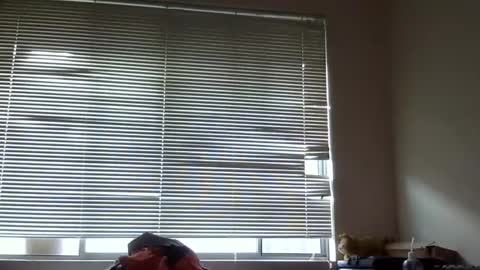 Snapshot of steveaussie chatting on December 8, 2024, 9:41 pm Australian420 online show from December 8, 2024, 9:41 pm