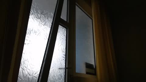 Steven online show from December 28, 2024, 12:35 pm