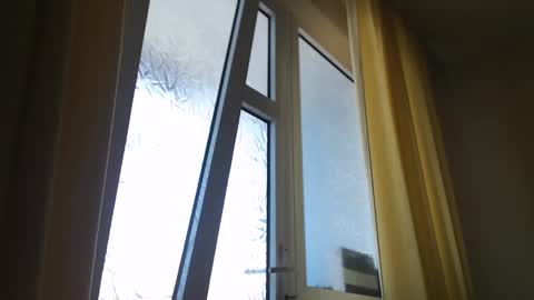 Steven online show from March 5, 2025, 1:06 pm