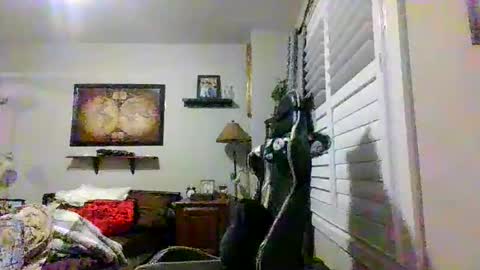 steveross33 online show from March 20, 2026, 12:04 am