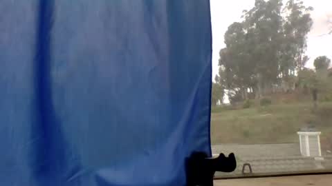 steviehard7 online show from March 11, 2025, 4:51 pm