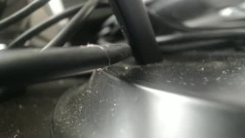 Stew Pididiot online show from September 11, 2025, 4:51 pm