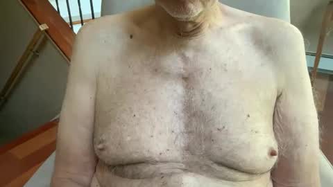 Stillbad2 online show from April 17, 2026, 1:14 pm