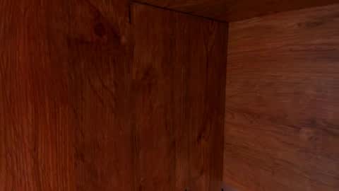 Stone Lee  online show from February 23, 2025, 9:55 am