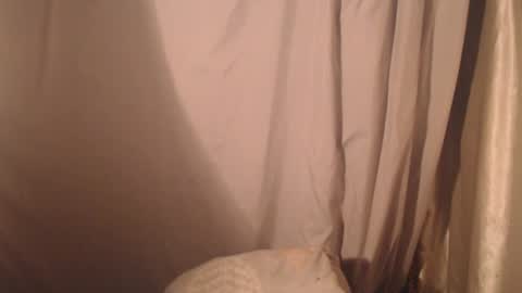 stonenipple online show from October 28, 2025, 5:48 pm