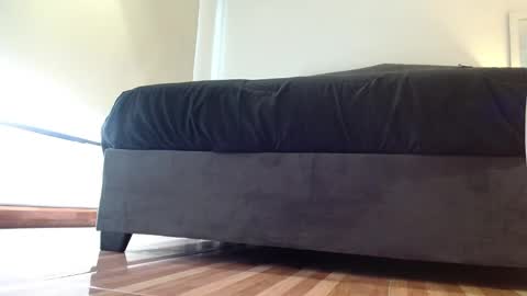 storm_hanks online show from January 14, 2026, 11:38 am