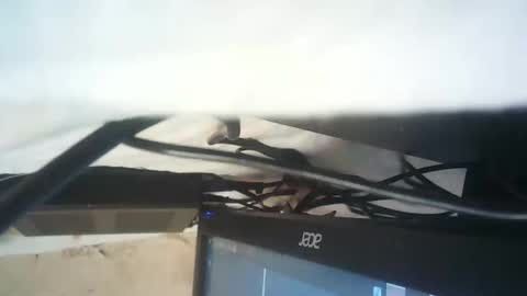 strangerdanger_2 online show from January 9, 2026, 11:35 am