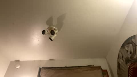 Stag online show from September 27, 2025, 7:46 am