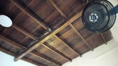 Alexa   online show from March 25, 2026, 11:05 am