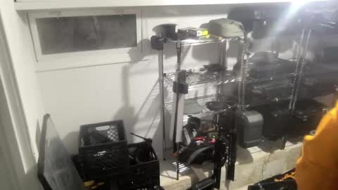 Sugar online show from December 28, 2024, 2:43 am