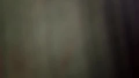 suly online show from April 2, 2026, 4:43 am