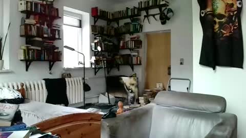 sunr1sa online show from January 3, 2025, 10:41 am