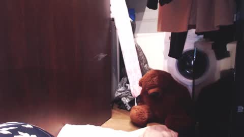 Hella online show from December 3, 2024, 7:10 am