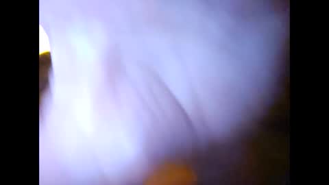 Suntroll online show from February 7, 2025, 11:01 am