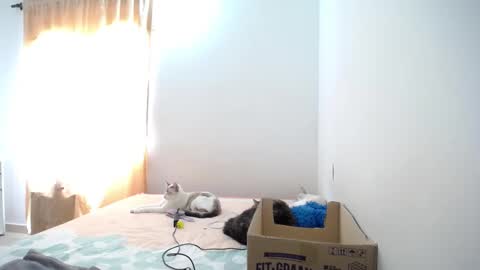 Susana online show from January 23, 2025, 4:59 pm