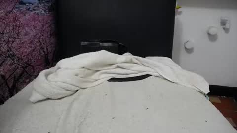 susy_perverttt online show from June 10, 2026, 2:05 pm