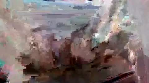 suttond4858 online show from September 12, 2025, 7:03 pm