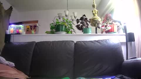 Otto online show from January 16, 2026, 5:33 am