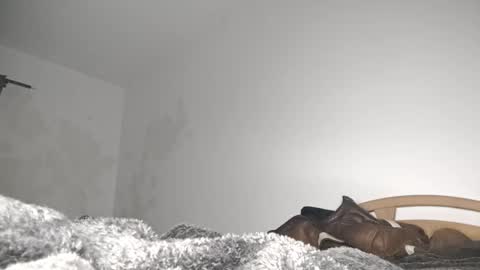 Snapshot of suzuki1250 chatting on March 6, 2026, 9:06 am suzuki1250 online show from March 6, 2026, 9:06 am