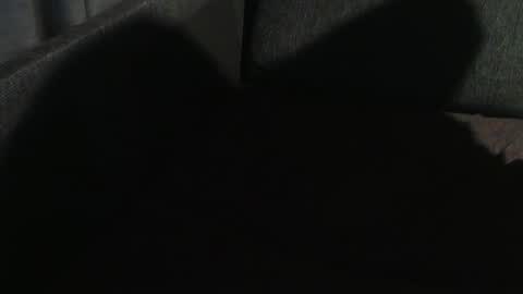 ArnSwart online show from January 7, 2025, 11:03 pm