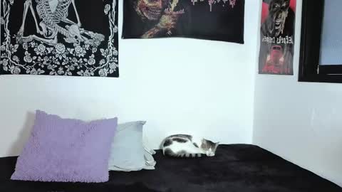 Natasha  independent modelo online show from April 6, 2026, 9:49 pm