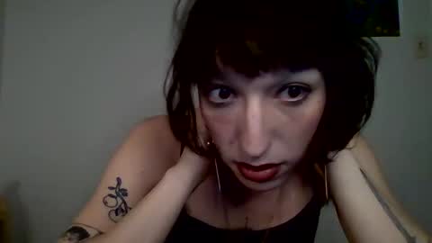 Snapshot of sweet_harvey chatting on April 10, 2026, 12:38 am sweet_harvey online show from April 10, 2026, 12:38 am