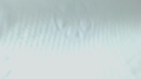 Snapshot of sweetnwildts chatting on May 20, 2026, 2:51 am Ghena online show from May 20, 2026, 2:51 am