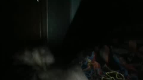 sweetpussylicks online show from February 7, 2025, 7:29 am