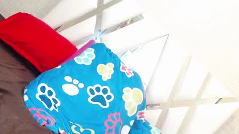 sweetsultrysiren online show from January 23, 2025, 6:35 pm