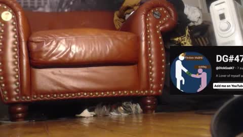 The DickGod online show from December 1, 2025, 6:46 pm