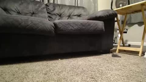 Snapshot of sxtn002 chatting on November 11, 2025, 11:10 am sxtn002 online show from November 11, 2025, 11:10 am