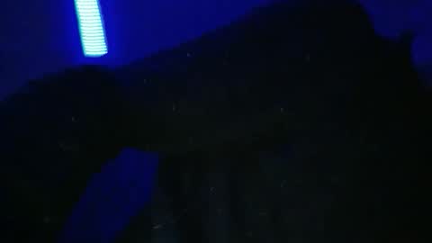 sylvauvert70 online show from January 18, 2026, 3:10 am