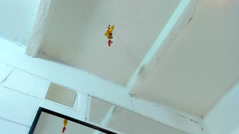 Tafari Zulu online show from March 2, 2026, 5:08 am