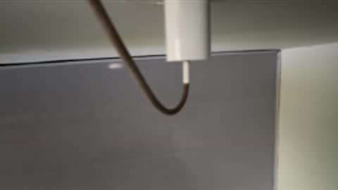 tali  online show from April 8, 2026, 12:16 pm