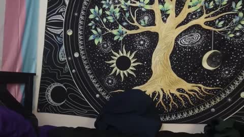 Tarrow online show from December 29, 2024, 2:17 am