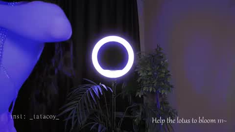 TataCoy online show from October 30, 2025, 2:07 pm