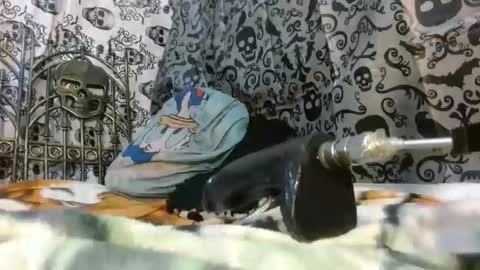 Katty badbitch online show from October 24, 2025, 9:55 pm