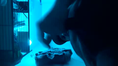 Snapshot of tboy833 chatting on February 14, 2025, 2:39 am Luis online show from February 14, 2025, 2:39 am