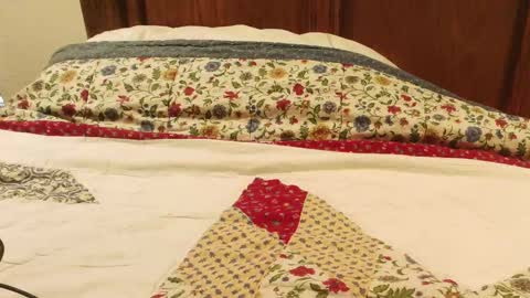 Snapshot of tc_fireman chatting on January 6, 2025, 6:52 pm tc_fireman online show from January 6, 2025, 6:52 pm