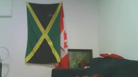 te3jani online show from January 13, 2025, 9:19 am