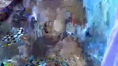 teabody1 online show from March 23, 2026, 6:45 pm