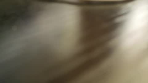 Snapshot of tender__ada chatting on March 1, 2026, 8:16 am Ada online show from March 1, 2026, 8:16 am