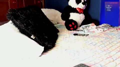 Teo online show from March 11, 2026, 8:26 pm