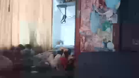 Terra Elowen online show from March 20, 2026, 1:27 pm