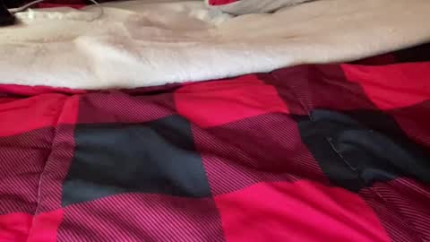 Derick online show from December 6, 2024, 6:59 am