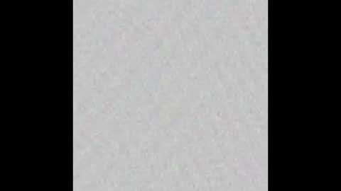 TexPig online show from September 26, 2025, 12:09 pm